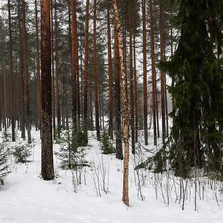 Nordic Flow By Booklapland